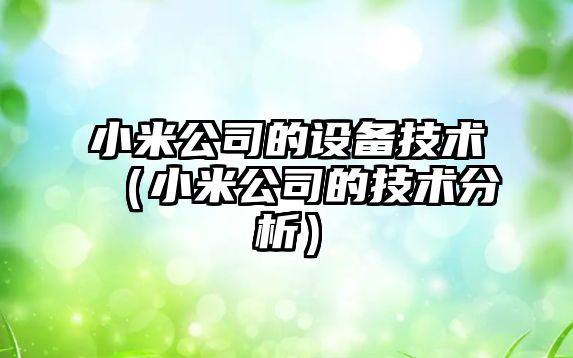 小米公司的設備技術(shù)（小米公司的技術(shù)分析）