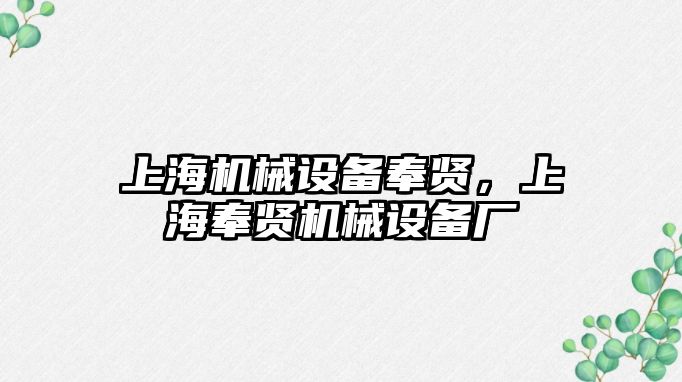 上海機械設備奉賢，上海奉賢機械設備廠(chǎng)