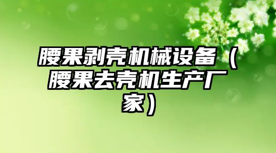 腰果剝殼機械設備（腰果去殼機生產(chǎn)廠(chǎng)家）