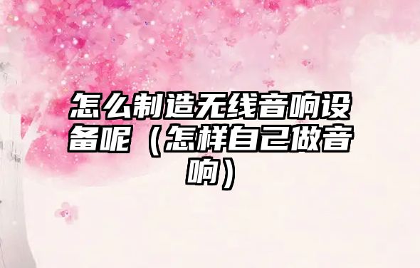 怎么制造無(wú)線(xiàn)音響設備呢（怎樣自己做音響）