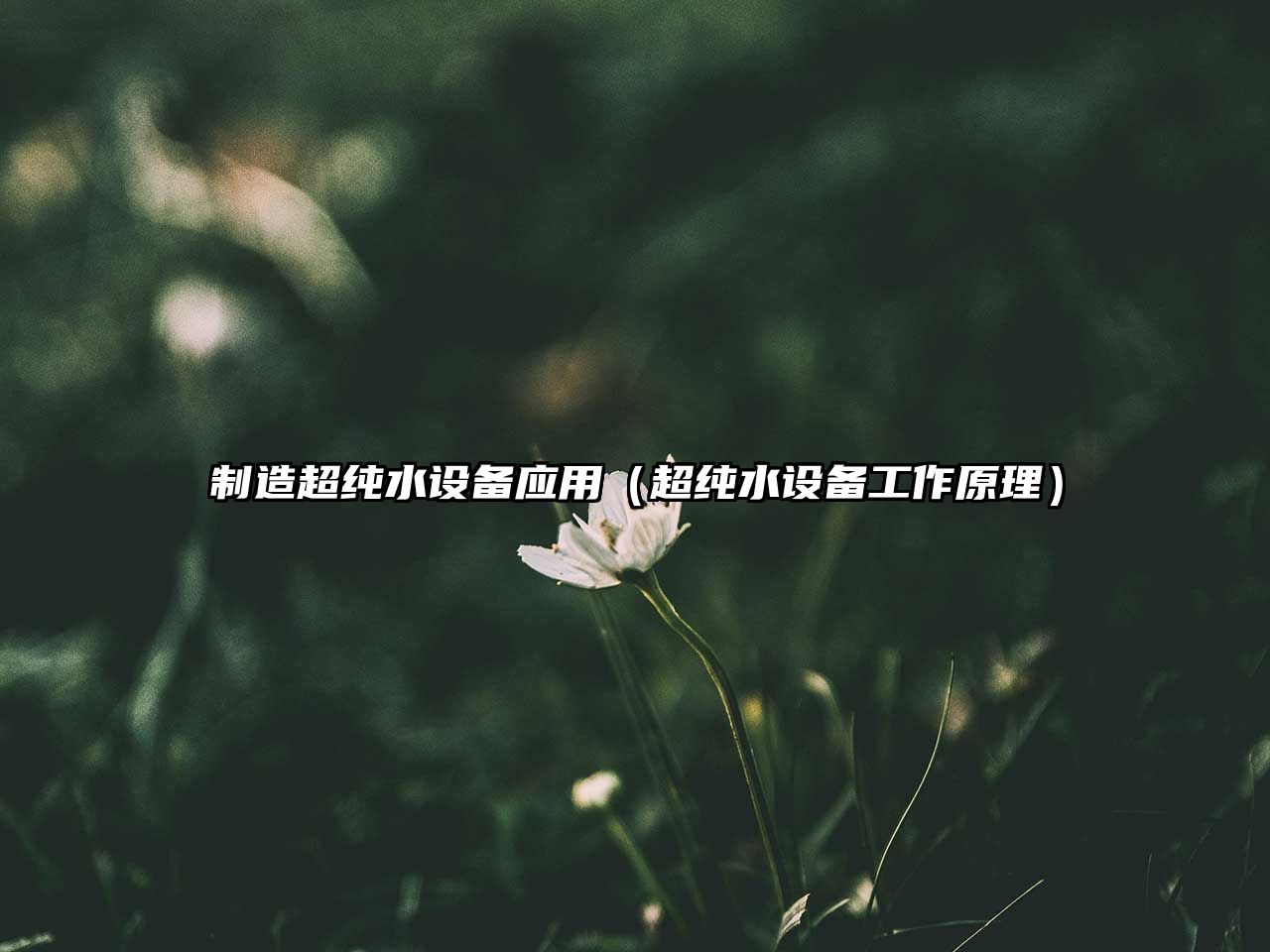制造超純水設備應用（超純水設備工作原理）