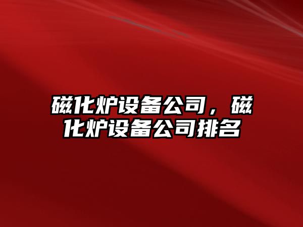 磁化爐設備公司，磁化爐設備公司排名