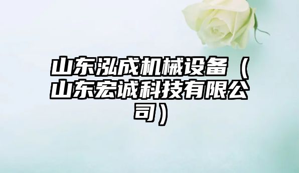 山東泓成機械設備（山東宏誠科技有限公司）