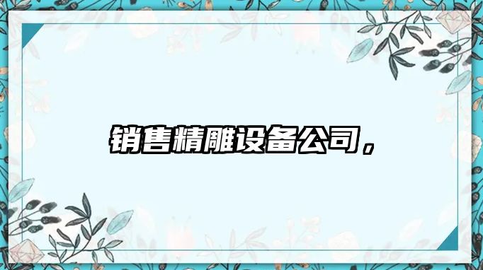 銷(xiāo)售精雕設備公司，