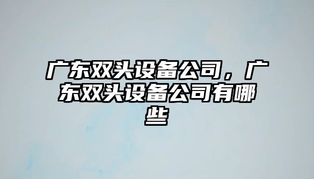 廣東雙頭設備公司，廣東雙頭設備公司有哪些