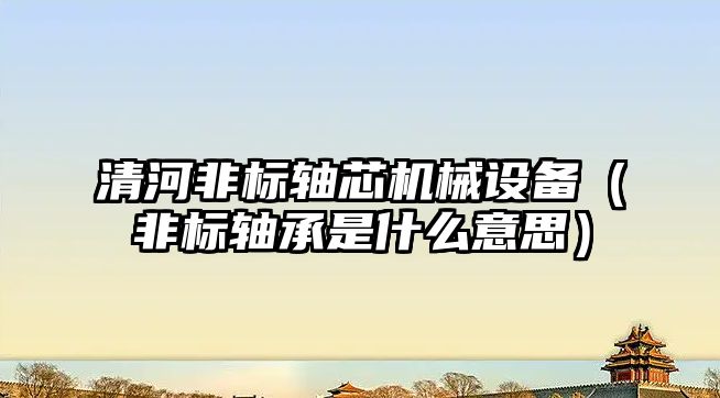 清河非標軸芯機械設備（非標軸承是什么意思）