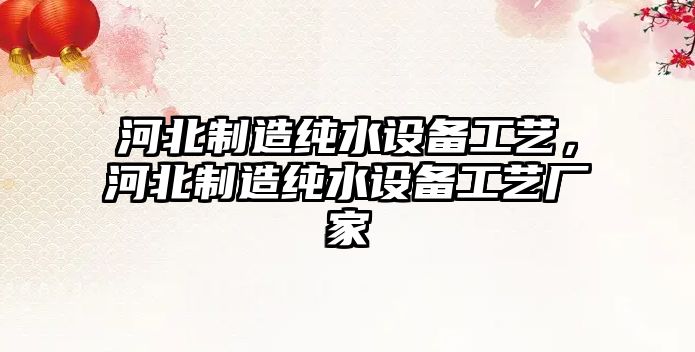 河北制造純水設備工藝，河北制造純水設備工藝廠(chǎng)家