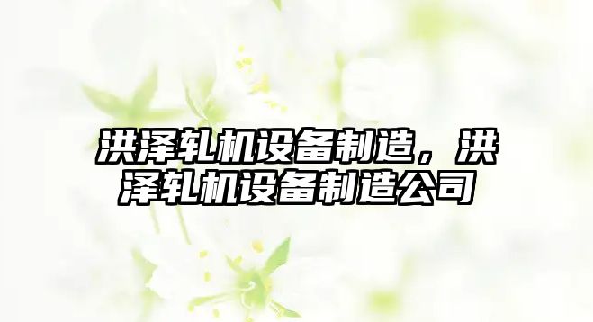 洪澤軋機設備制造，洪澤軋機設備制造公司