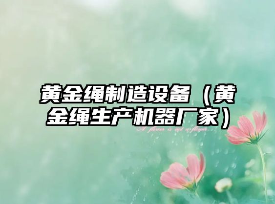 黃金繩制造設備（黃金繩生產(chǎn)機器廠(chǎng)家）