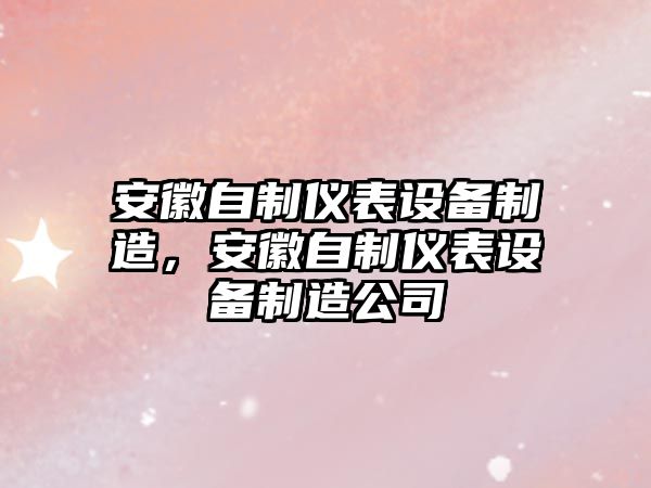 安徽自制儀表設備制造，安徽自制儀表設備制造公司