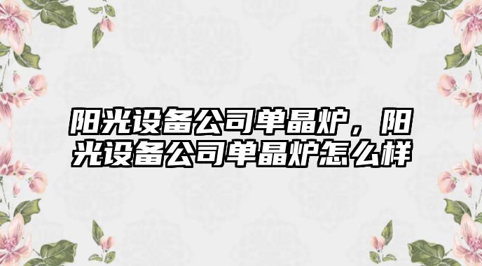 陽(yáng)光設備公司單晶爐，陽(yáng)光設備公司單晶爐怎么樣