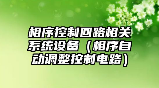 相序控制回路相關(guān)系統設備（相序自動(dòng)調整控制電路）