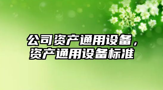 公司資產(chǎn)通用設備，資產(chǎn)通用設備標準