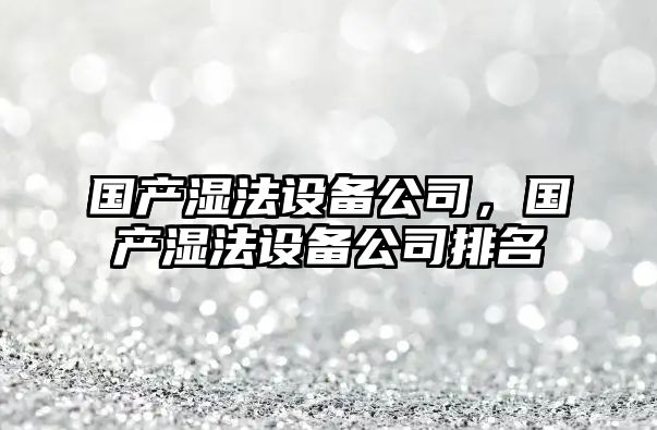 國產(chǎn)濕法設備公司，國產(chǎn)濕法設備公司排名