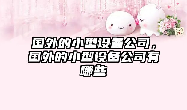 國外的小型設備公司，國外的小型設備公司有哪些