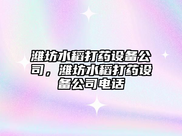 濰坊水稻打藥設備公司，濰坊水稻打藥設備公司電話(huà)