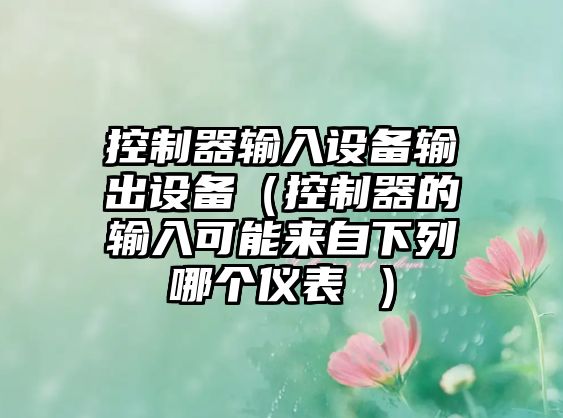 控制器輸入設備輸出設備（控制器的輸入可能來(lái)自下列哪個(gè)儀表 ）