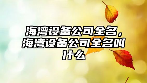 海灣設備公司全名，海灣設備公司全名叫什么