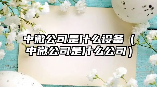 中微公司是什么設備（中微公司是什么公司）