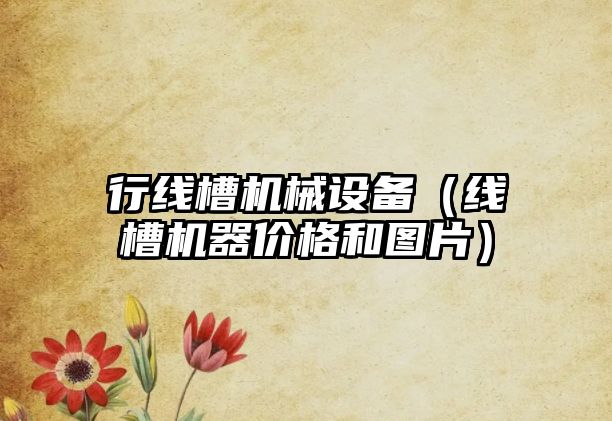 行線(xiàn)槽機械設備（線(xiàn)槽機器價(jià)格和圖片）