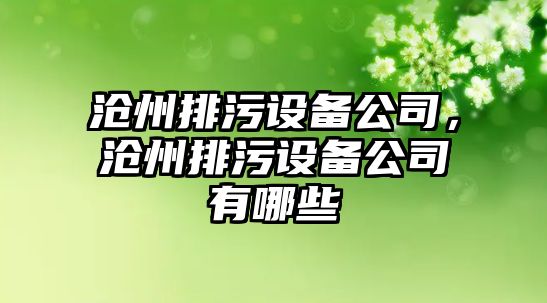 滄州排污設備公司，滄州排污設備公司有哪些