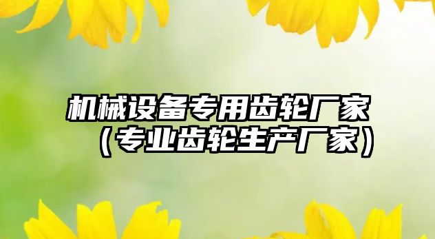 機械設備專(zhuān)用齒輪廠(chǎng)家（專(zhuān)業(yè)齒輪生產(chǎn)廠(chǎng)家）