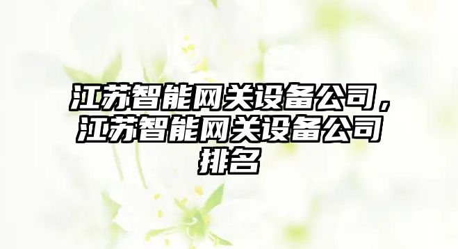 江蘇智能網(wǎng)關(guān)設備公司，江蘇智能網(wǎng)關(guān)設備公司排名