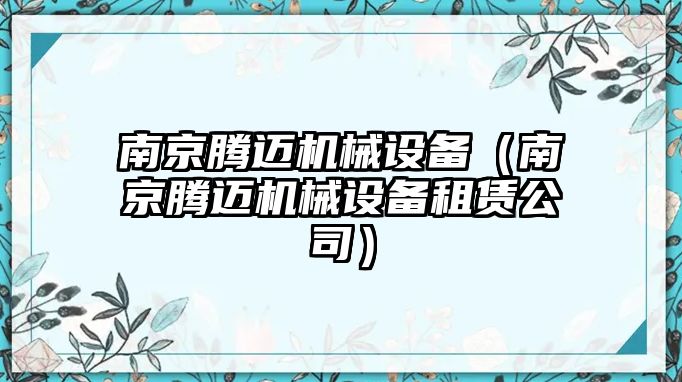 南京騰邁機械設備（南京騰邁機械設備租賃公司）