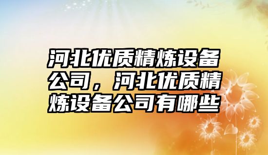 河北優(yōu)質(zhì)精煉設備公司，河北優(yōu)質(zhì)精煉設備公司有哪些