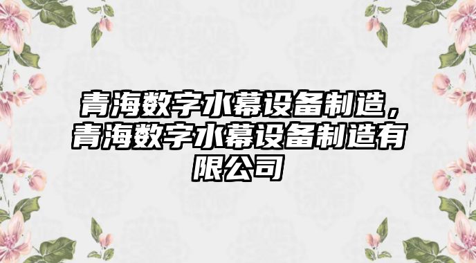 青海數字水幕設備制造，青海數字水幕設備制造有限公司