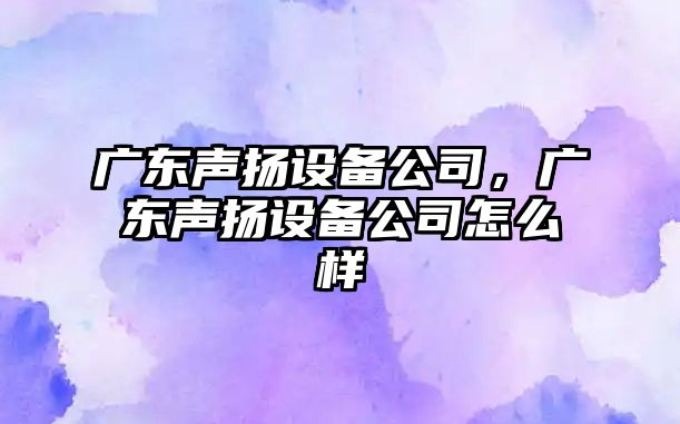 廣東聲揚設備公司，廣東聲揚設備公司怎么樣