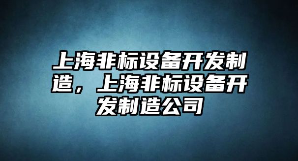 上海非標設備開(kāi)發(fā)制造，上海非標設備開(kāi)發(fā)制造公司