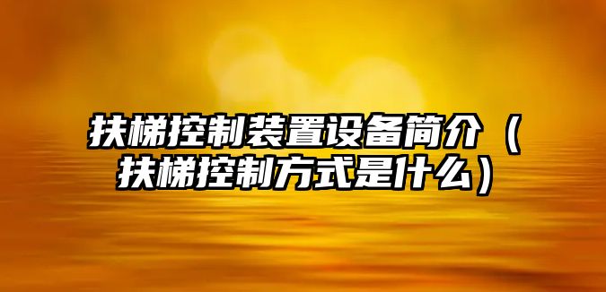 扶梯控制裝置設備簡(jiǎn)介（扶梯控制方式是什么）