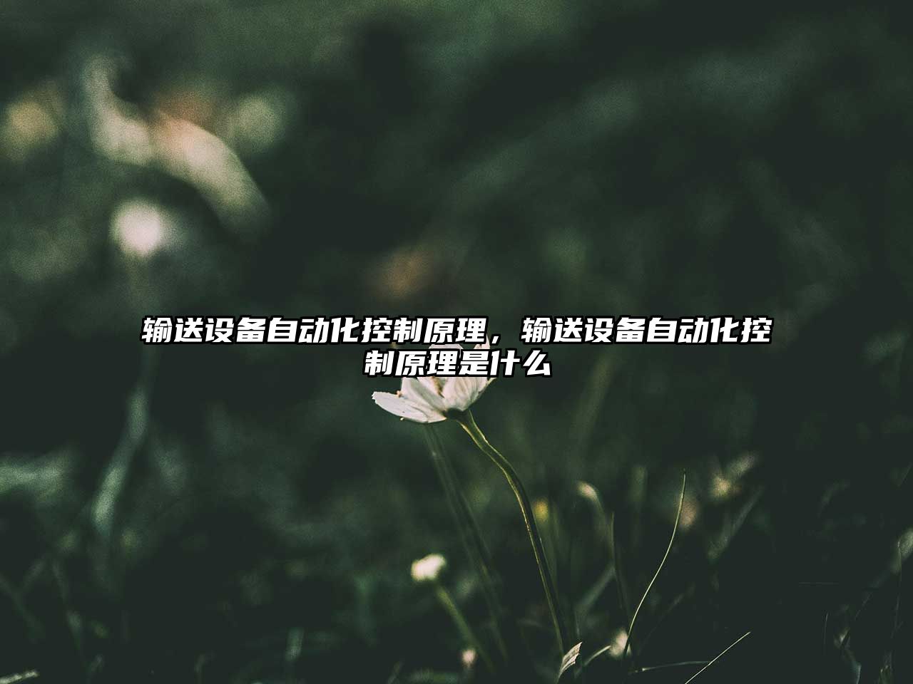 輸送設備自動(dòng)化控制原理，輸送設備自動(dòng)化控制原理是什么