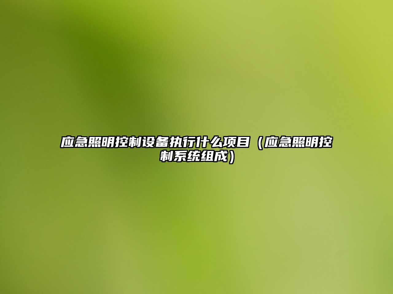 應急照明控制設備執行什么項目（應急照明控制系統組成）
