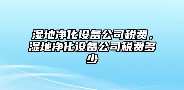 濕地凈化設備公司稅費，濕地凈化設備公司稅費多少