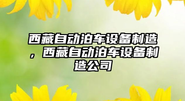 西藏自動(dòng)泊車(chē)設備制造，西藏自動(dòng)泊車(chē)設備制造公司