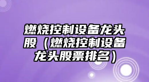 燃燒控制設備龍頭股（燃燒控制設備龍頭股票排名）