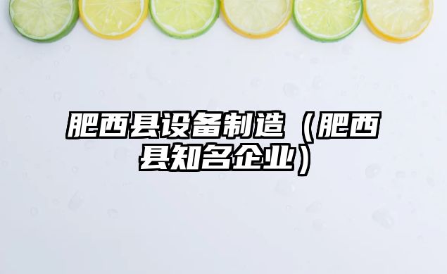 肥西縣設備制造（肥西縣知名企業(yè)）