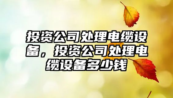 投資公司處理電纜設備，投資公司處理電纜設備多少錢(qián)