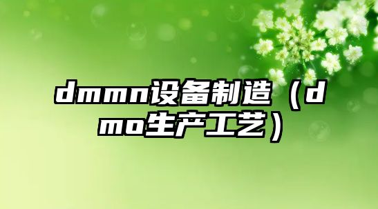dmmn設備制造（dmo生產(chǎn)工藝）