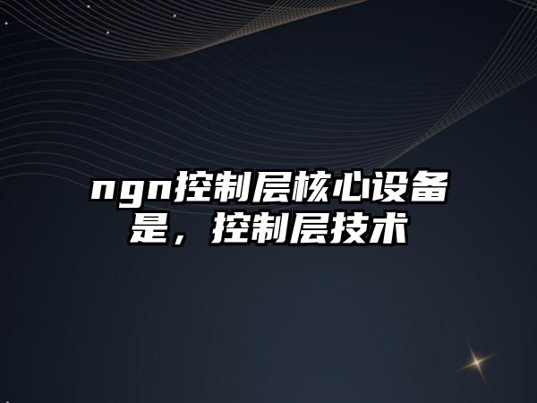 ngn控制層核心設備是，控制層技術(shù)