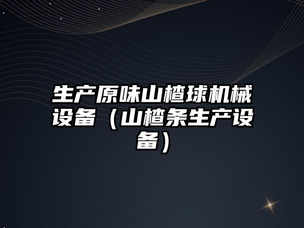 生產(chǎn)原味山楂球機械設備（山楂條生產(chǎn)設備）