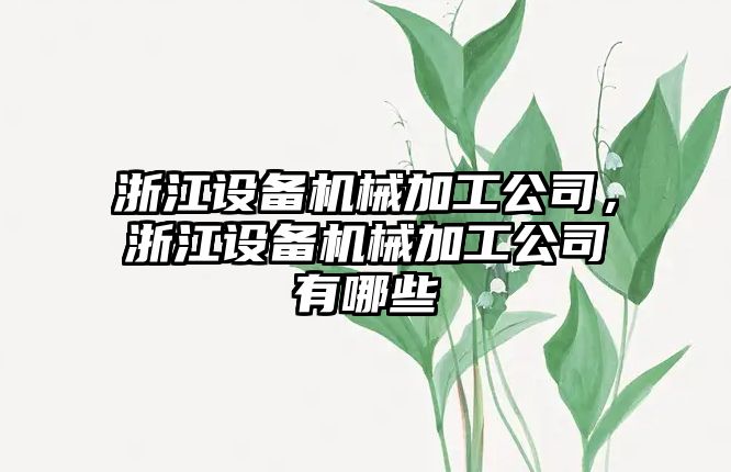 浙江設備機械加工公司，浙江設備機械加工公司有哪些
