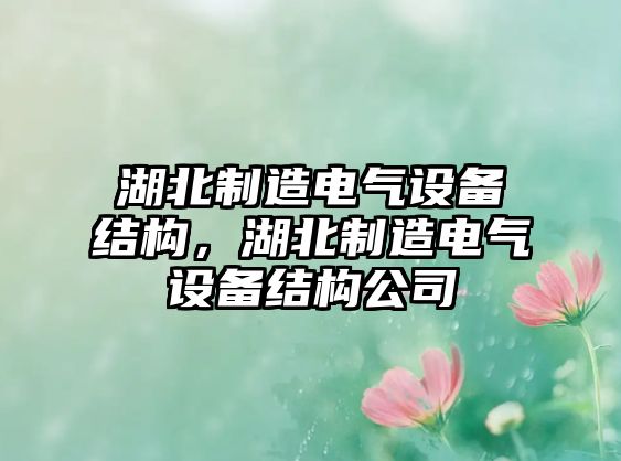 湖北制造電氣設備結構，湖北制造電氣設備結構公司