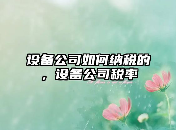設備公司如何納稅的，設備公司稅率