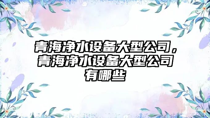 青海凈水設備大型公司，青海凈水設備大型公司有哪些