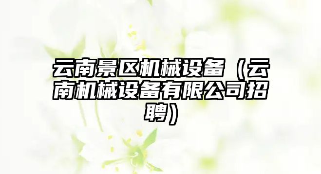 云南景區機械設備（云南機械設備有限公司招聘）