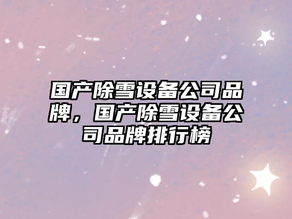 國產(chǎn)除雪設備公司品牌，國產(chǎn)除雪設備公司品牌排行榜