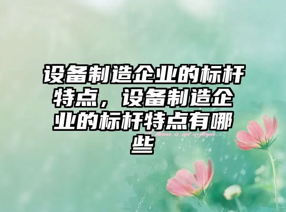 設備制造企業(yè)的標桿特點(diǎn)，設備制造企業(yè)的標桿特點(diǎn)有哪些